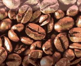 Декор Absolut Keramika AK0573 Decor Coffee Beans 03 10x30