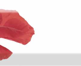Декор Absolut Keramika Decor Poppy 01 10X30