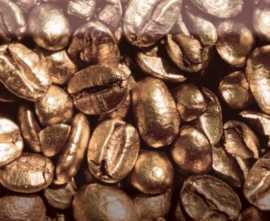 Декор Absolut Keramika AK0571 Decor Coffee Beans 01 10x30