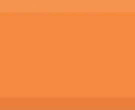 Плитка Absolut Keramika Monocolor Naranja Biselado Brillo 10х20
