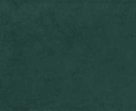 Плитка Imola Ceramica 624DV Aroma Verde Scuro 6x24