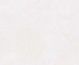 Плитка RAKO WAKV6790 Betonico white-grey 40x120