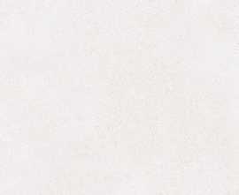 Плитка RAKO WADV4790 Betonico white-grey 30x60