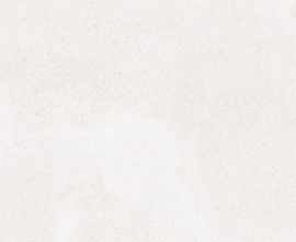 Керамогранит RAKO DAA4H790 Betonico white-grey R10 45x45