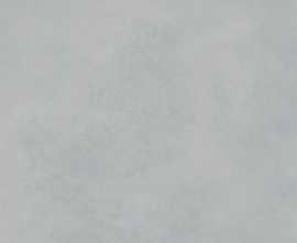 Керамогранит RAKO DARV1723 Extra Light Grey 60x120