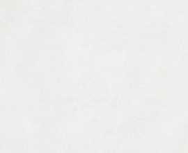 Плитка RAKO WADMB723 Extra 20x40