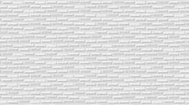 Плитка Emigres Fan Kite Blanco Rect. 25x75