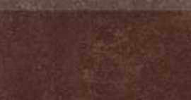 Плинтус RAKO DSAPS601 Concept brown 8.5x45
