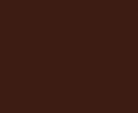 Плитка RAKO WAAKB009 CONCEPT Plus Brown 25x33