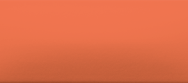 Декор RAKO WARDT001 CONCEPT PLUS Orange 20x6