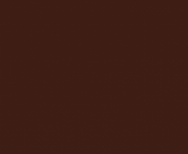 Плитка RAKO WAAMB009 CONCEPT PLUS Brown 20x40