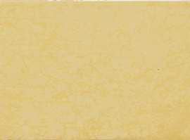 Плитка Iris Ceramica 754980 MAIOLICA OCRA 10X30