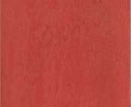 Плитка Iris Ceramica Maiolica Rosso 20x20