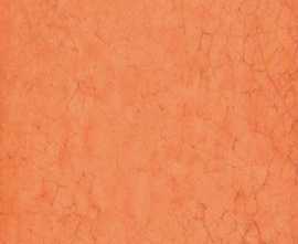 Плитка Iris Ceramica Maiolica Arancio 20x20