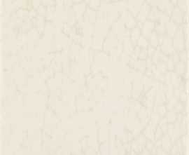 Плитка Iris Ceramica Maiolica Latte 20x20