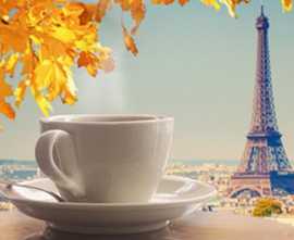 Декор Муза Керамика D3 Travel cup D3D249 30х20