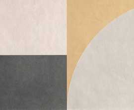Плитка FAP Ceramiche fRGX Fap Murals Texture Macro (2 pz) 80x160