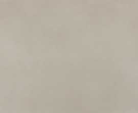 Плитка FAP Ceramiche fRRA Color Mood Tortora Matt 80x160