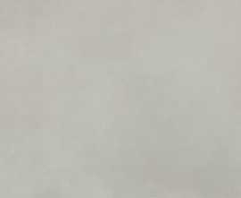 Плитка FAP Ceramiche fRQ7 Color Mood Grigio Matt 80x160