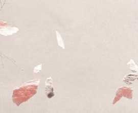 Декор FAP Ceramiche fQWF Ylico Petals 50x120