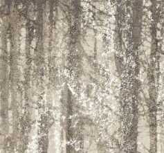 Керамогранит FAP Ceramiche fQWO Ylico Wood Fog 120x278