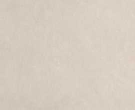 Плитка FAP Ceramiche fRFO Sheer Grey RT 80x160