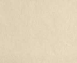 Плитка FAP Ceramiche fRFN Sheer Beige RT 80x160