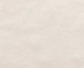 Плитка FAP Ceramiche fRFF Sheer White 25х75