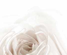 Декор BELLEZA 10-05-11-350-1 Нежность бежевый А 50х25