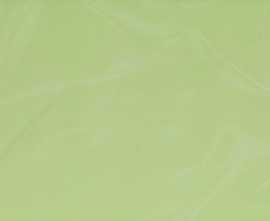 Плитка Del Conca BG41 Verde Scuro 20*50