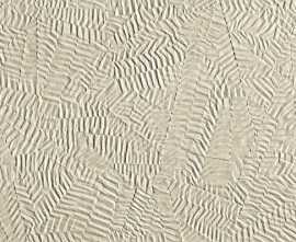 Плитка FAP Ceramiche fRFL Bloom Star Beige 80x160