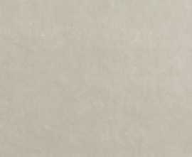 Плитка FAP Ceramiche fRFH Bloom Grey 80x160