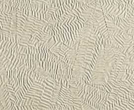Плитка FAP Ceramiche fOXK Bloom Star Beige 80x160