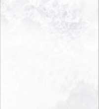 Плитка Kerlife (Navarti) AGATHA-R WHITE RECT. 32x90