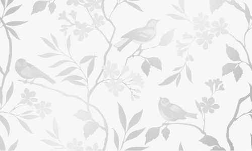 Gracia Ceramica Декор Blanc white 01 30х50