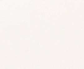 Плитка Fanal Pearl 120 White 45x120