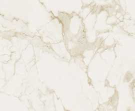 Керамогранит FAP Ceramiche fOWR Roma Calacatta Silk 120x278