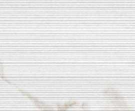 Плитка FAP Ceramiche fLST Roma Filo Calacatta 25x75