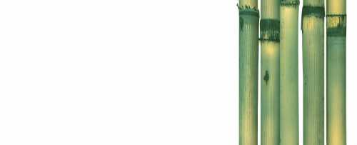Декор Cerrol Canas De Bambu B Centro 20x50