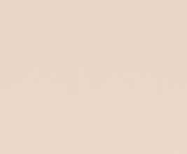 Плитка Paradyz Amelia Coral Rekt 25x75