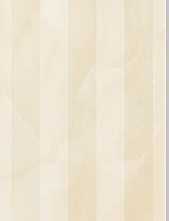 Плитка Ascot GMO20L Onyx Lignes 25х75