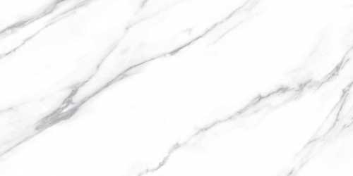 Керамогранит Fanal Carrara Dec B 60x120