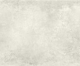 Плитка STN Ceramica Jasper silver MT 25x75