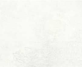 Плитка STN Ceramica P.B. JASPER WHITE MT RECT. 33.3*90