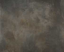 Керамогранит STN Ceramica M.C.Jasper iron MT Rect. 100x100
