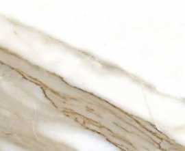 Керамогранит Fanal Calacatta rec 60x120