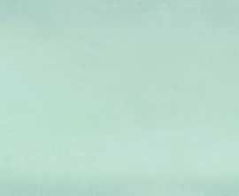 Плитка Ibero Intuition Aquamarine 29*100