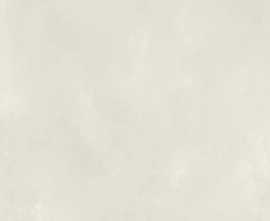Керамогранит FAP Ceramiche fOTV Color Now Bianco Silk 120x278