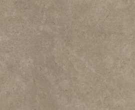 Керамогранит Baldocer Icon Taupe 59x59