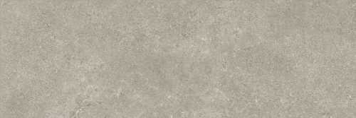 Плитка Baldocer Icon Grey 30*90